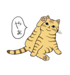 うちのトラちゃんは（個別スタンプ：18）