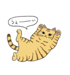 うちのトラちゃんは（個別スタンプ：19）