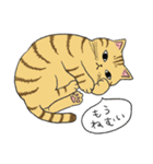うちのトラちゃんは（個別スタンプ：23）