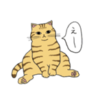 うちのトラちゃんは（個別スタンプ：26）