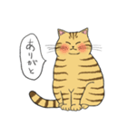 うちのトラちゃんは（個別スタンプ：27）