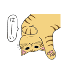 うちのトラちゃんは（個別スタンプ：28）