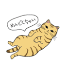 うちのトラちゃんは（個別スタンプ：30）