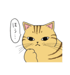うちのトラちゃんは（個別スタンプ：33）