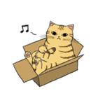 うちのトラちゃんは（個別スタンプ：39）
