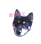 我が家の仁さん～3（個別スタンプ：5）