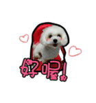 Love PAPA（個別スタンプ：5）
