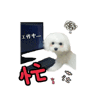 Love PAPA（個別スタンプ：7）