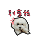 Love PAPA（個別スタンプ：8）