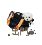 Love PAPA（個別スタンプ：14）