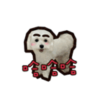 Love PAPA（個別スタンプ：16）