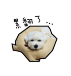 Love PAPA（個別スタンプ：18）