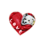 Love PAPA（個別スタンプ：20）