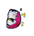 Love PAPA（個別スタンプ：21）