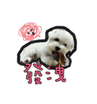 Love PAPA（個別スタンプ：23）