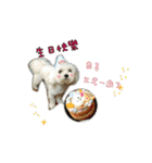 Love PAPA（個別スタンプ：24）