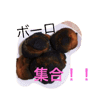 deguboro（個別スタンプ：12）