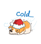 JawNgue the Corgi and his Christmas（個別スタンプ：11）