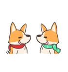 JawNgue the Corgi and his Christmas（個別スタンプ：16）