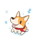 JawNgue the Corgi and his Christmas（個別スタンプ：21）