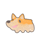 JawNgue the Corgi and his Christmas（個別スタンプ：24）