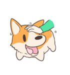 JawNgue the Corgi and his Christmas（個別スタンプ：32）
