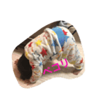 蒼矢 Happy（個別スタンプ：4）