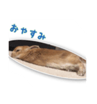 うさぎのオンちゃん（個別スタンプ：5）