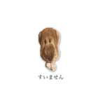 うさぎのオンちゃん（個別スタンプ：7）