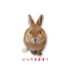 うさぎのオンちゃん（個別スタンプ：14）