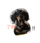 ぶらっくたんすたんぷ（個別スタンプ：3）