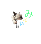 福（個別スタンプ：7）