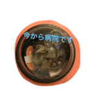 もっぷちゃん生活（個別スタンプ：1）