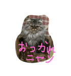 もっぷちゃん生活（個別スタンプ：2）