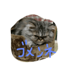 もっぷちゃん生活（個別スタンプ：7）