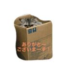 もっぷちゃん生活（個別スタンプ：8）
