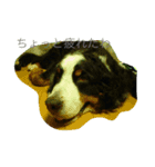brother dogs（個別スタンプ：3）