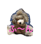 こてはな（個別スタンプ：1）