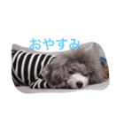 こてはな（個別スタンプ：4）