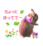うさ6（個別スタンプ：2）