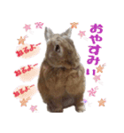 うさ6（個別スタンプ：18）