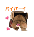 うさ6（個別スタンプ：24）
