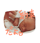 ふうちゃん1002 01（個別スタンプ：8）