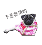 Lovely dog-PUG（個別スタンプ：4）