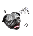 Lovely dog-PUG（個別スタンプ：8）