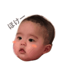 ほけ顔こたんぷ（個別スタンプ：1）
