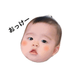 ほけ顔こたんぷ（個別スタンプ：13）