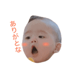 ほけ顔こたんぷ（個別スタンプ：14）