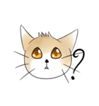 Oh！！ this is my cat（個別スタンプ：3）