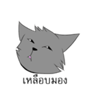 Oh！！ this is my cat（個別スタンプ：4）